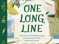 One Long Line: Marching Caterpillars And The Scientists Who Followed Them