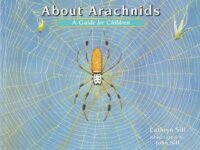 About Arachnids:a Guide For Children