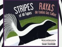 Stripes Of All Types / Rayas De Todas Las Tallas