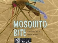 Mosquito Bite