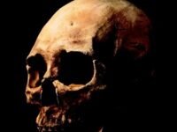 Every Bone Tells A Story:Hominin Discoveries, Deductions, And Debates