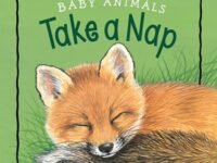 Baby Animals Take A Nap