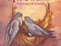 Spit & Sticks:a Chimney Full Of Swifts