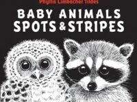 Baby Animals Spots & Stripes