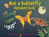 Not A Butterfly Alphabet Book:It's About Time Moths Had Their Own Book!
