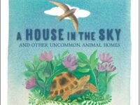 A House In The Sky