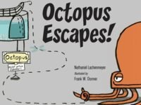 Octopus Escapes!