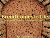 Bread Comes To Life:a Garden Of Wheat And A Loaf To Eat