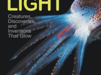 Cold Light:Creatures, Discoveries, And Inventions That Glow