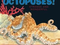 Octopuses!:Strange And Wonderful
