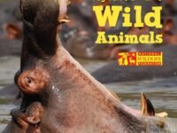 My First Book Of Wild Animals (National Wildlife Federation)