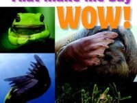 Animals That Make Me Say Wow! (National Wildlife Federation)