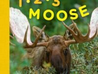1, 2, 3 Moose:an Animal Counting Book