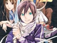 Noragami: Strary God (Volume 10)