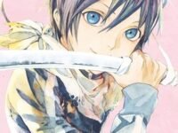 Noragami: Strary God (Volume 13)
