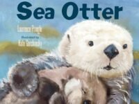 The Secret Life Of The Sea Otter