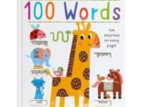 My First Slide And Seek: 100 Words