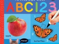 My First Wipe-Clean Abc 123:Write And Learn!