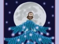 The Little Owl & The Big Tree:a Christmas Story