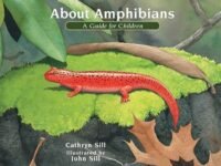 About Amphibians:a Guide For Children