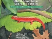 About Amphibians / Sobre Los Anfibios:a Guide For Children / Una Guía Para Niños