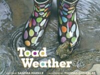 Toad Weather