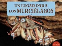 Un Lugar Para Los Murciélagos