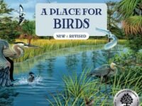 A Place For Birds (Third Edition)