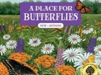 A Place For Butterflies (Third Edition)
