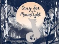 Gray Fox In The Moonlight