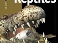 Insiders Reptiles