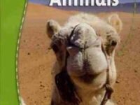 Desert Animals Superstars Solo Reader 2