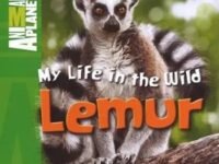 Animal Planet My Life In The Wild Lemur