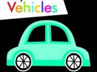 My First Vehicles (a First Black And White Book)