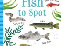 Fish To Spot (Usborne Minis)