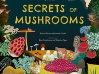 The Secrets Of Mushrooms