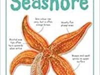 Spot 50 Seashore