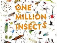 One Million Insects