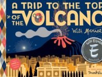 A Trip To The Top Of The Volcano With Mouse:Toon Level 1