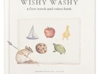 Wishy Washy:a Board Book Of First Words And Colors For Growing Minds