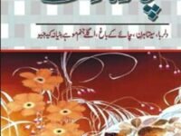 Chaar Novelet (Short Stories) (Urdu)