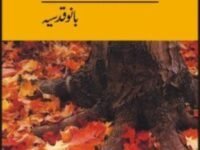 Saamaan-E-Wajood (Urdu)