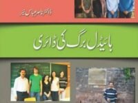 Heidelberg Ki Diary (Urdu)