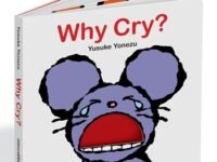 Why Cry?:a Lift-the-Flap Book About Feelings And Emotions