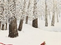Warm Winter
