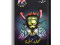 MAKHION K QAIDI
