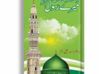 Mery Aaqa (PBUH) Mery Sahib (PBUH) Mery Rasool (PBUH)