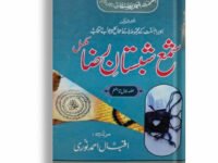 Shama Shabistan e Raza