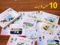 QAYYUM NIZAMI PACK  SET ( 10 BOOKS )