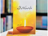 Fiction Say Muqalma (Adabi Interviews)